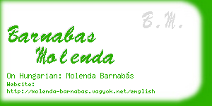 barnabas molenda business card