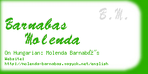barnabas molenda business card